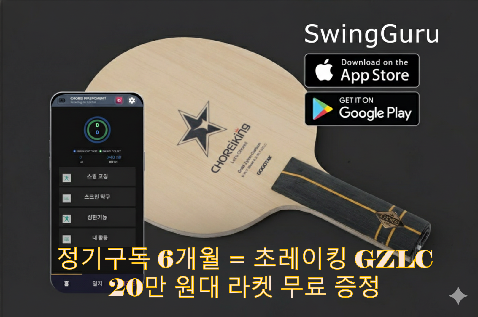 6개월 특별 이벤트